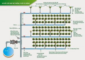 cách làm hệ thống tưới nhỏ giọt đơn giản