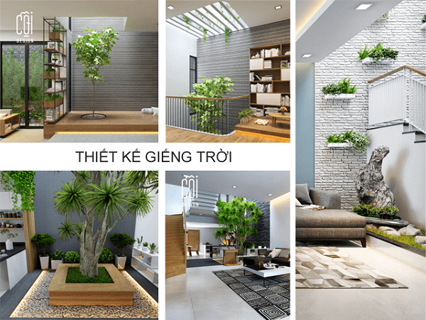 tiểu cảnh giếng trời trong nhà tối giản