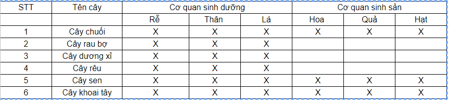 Những cây không có hoa