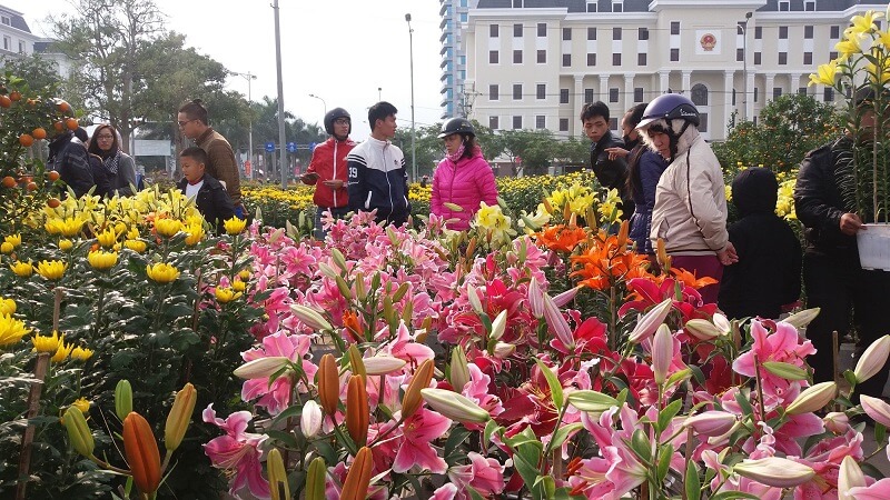 các loại hoa bán chạy ngày Tết