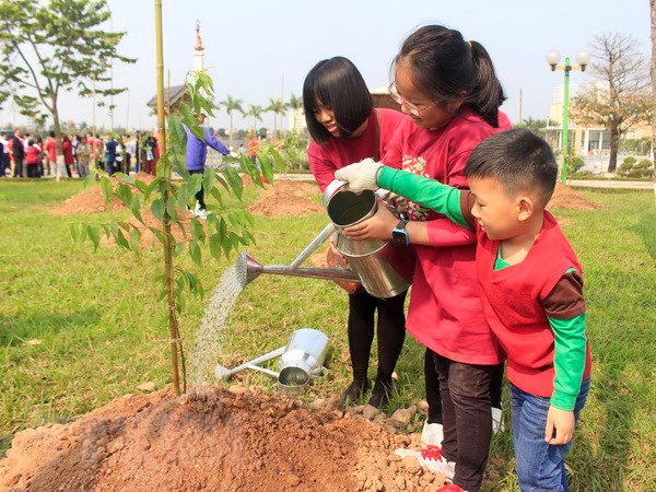 Cách trồng và chăm sóc cây hoa Anh Đào