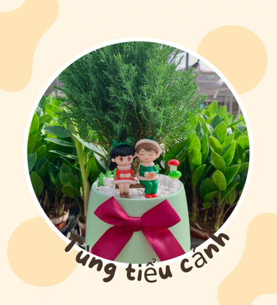 Banner chậu cây xuất khẩu mobile