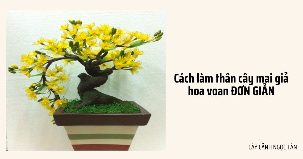 cách làm thân cây mai giả hoa voan 