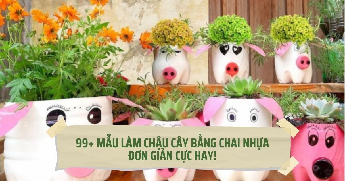 làm chậu cây bằng chai nhựa