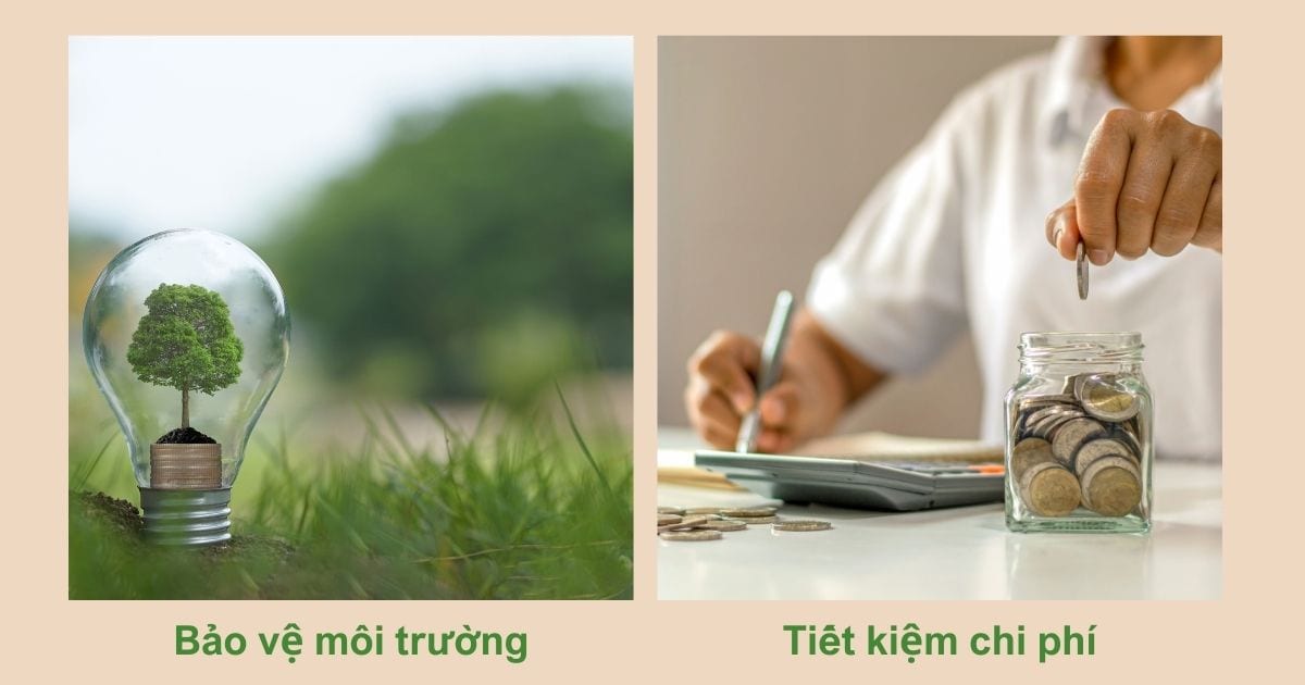 làm chậu cây bằng chai nhựa tiết kiệm chi phí