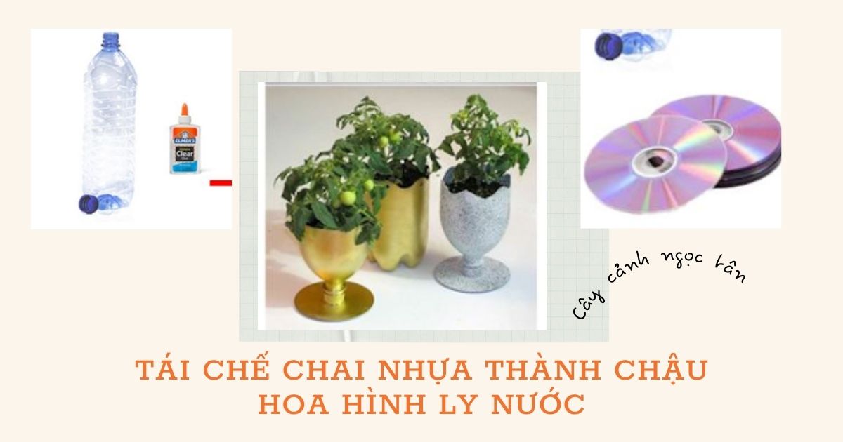 tái chế chai nhựa thành chậu hoa hình ly nước