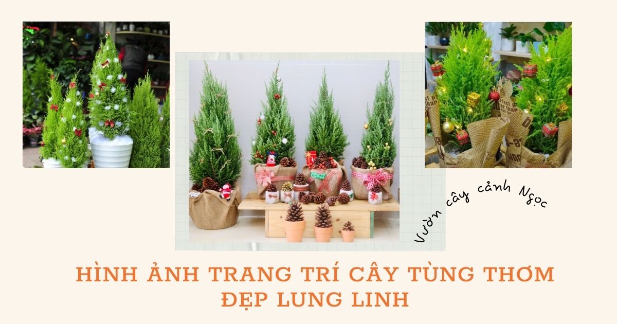 trang trí cây tùng thơm đẹp