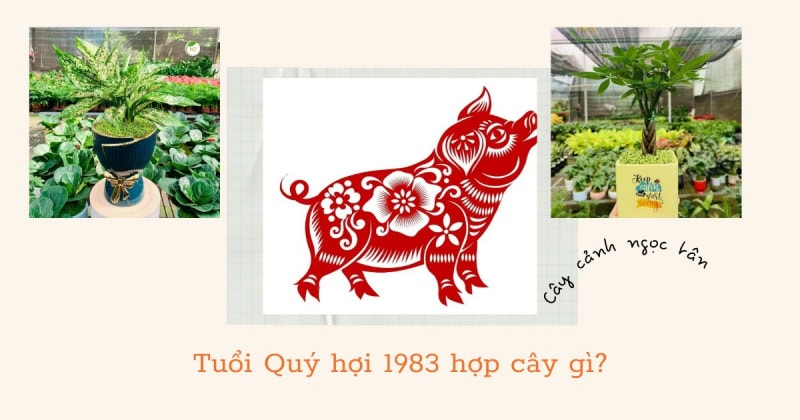 Tuổi Quý hợi 1983 hợp cây gì