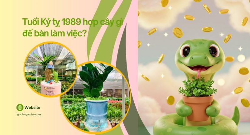 Tuổi Kỷ tỵ 1989 hợp cây gì để bàn làm việc