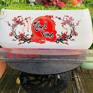 Chậu cây Tiểu cảnh thiết mộc lan 