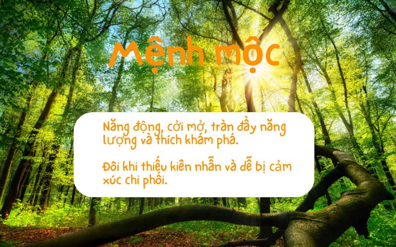 Mệnh mộc
