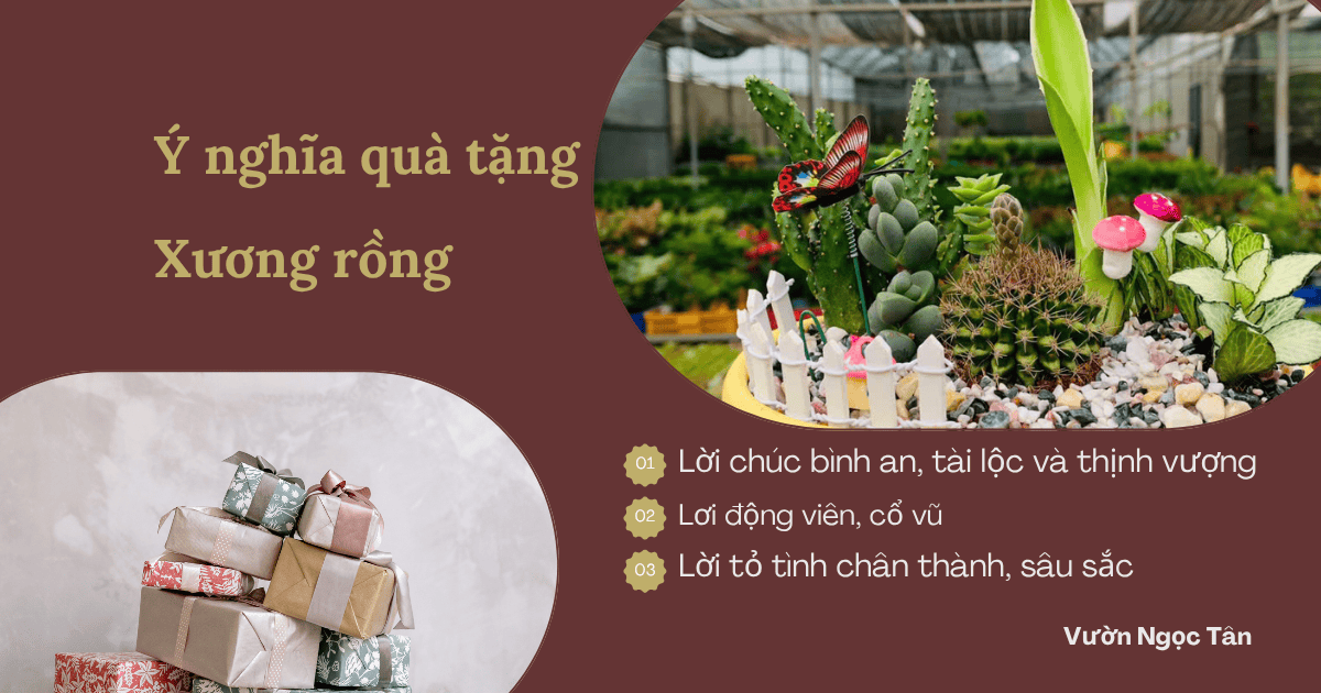 tặng xương rồng có ý nghĩa gì