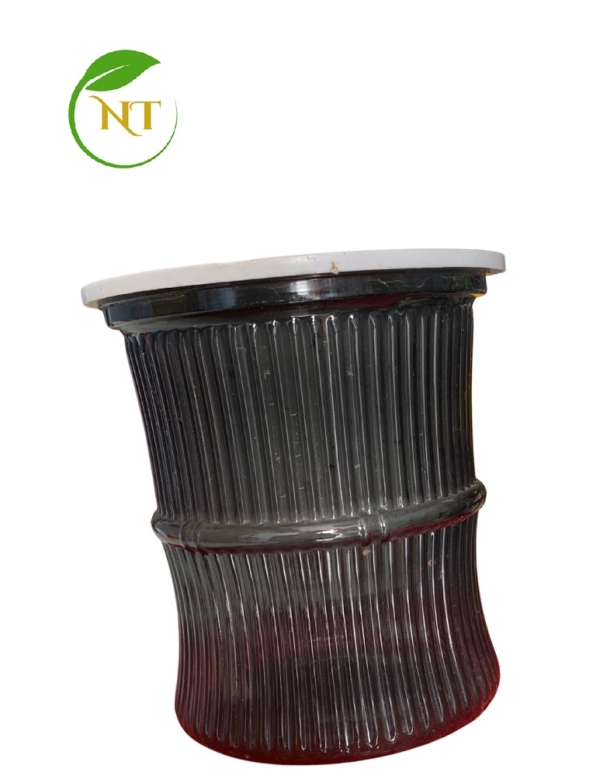 chậu nhựa thủy sinh