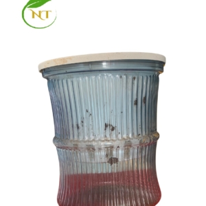 chậu nhựa thủy sinh