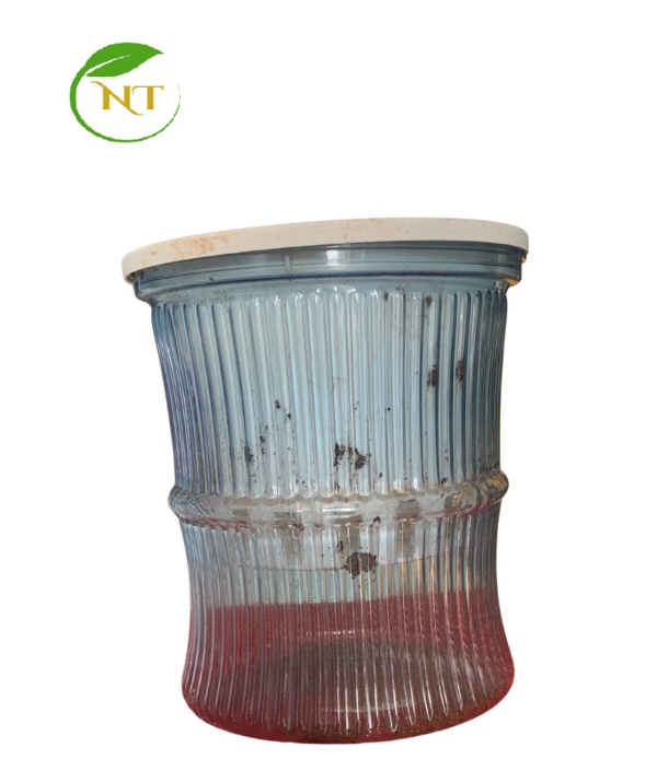 chậu nhựa thủy sinh