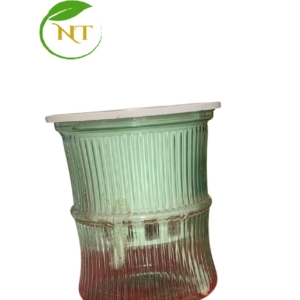 chậu nhựa thủy sinh
