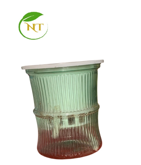 chậu nhựa thủy sinh