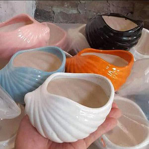 Chậu sứ hình ốc