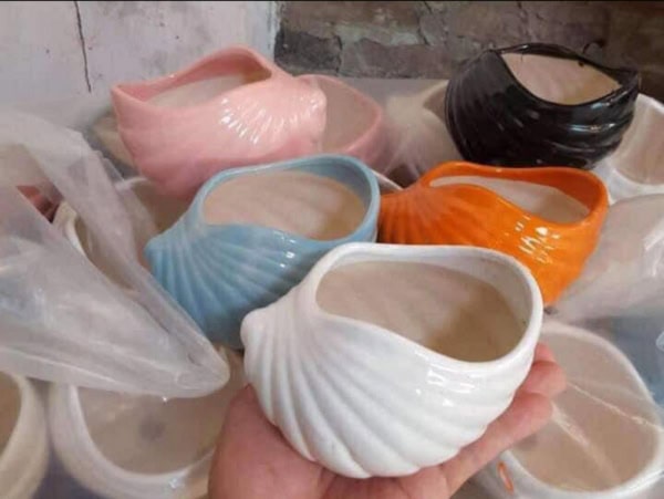 Chậu sứ hình ốc