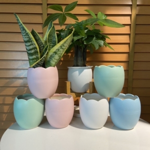 Chậu sứ hình trứng