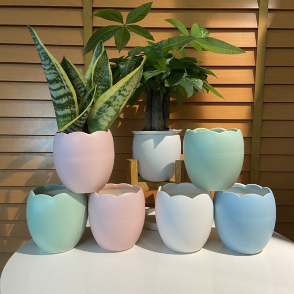 Chậu sứ hình trứng