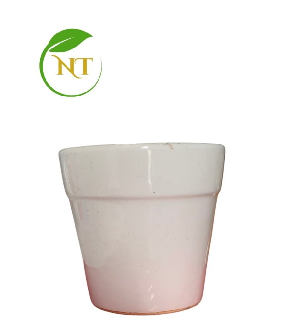 Chậu sứ ly mini trơn
