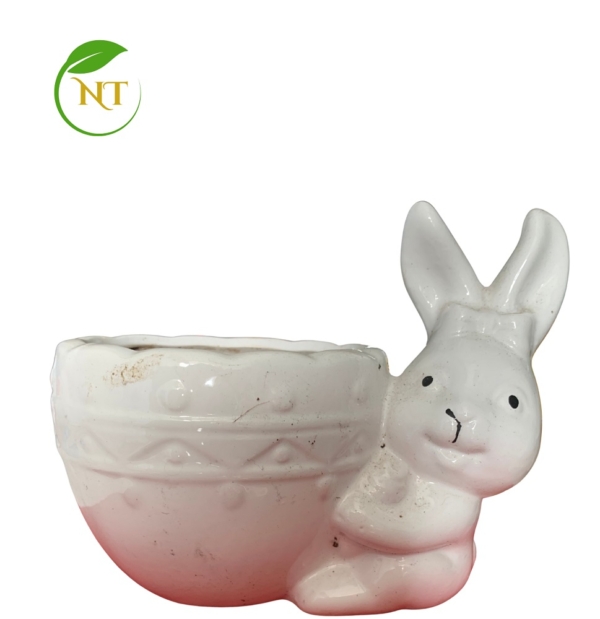 Chậu sứ hình thỏ trơn