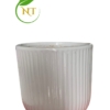 Chậu trụ sọc gân