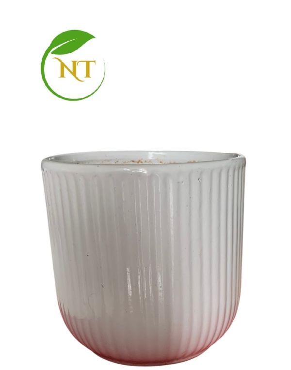 Chậu trụ sọc gân