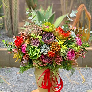 chậu sen đá lớn