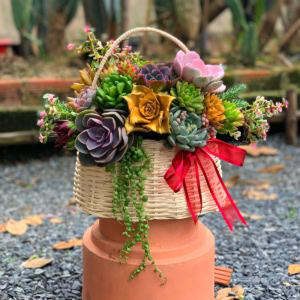 giỏ quà tặng 20/11 đặc biệt dành tặng thầy cô giáo