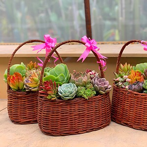 giỏ quà tặng 20/11 đặc biệt dành tặng thầy cô giáo