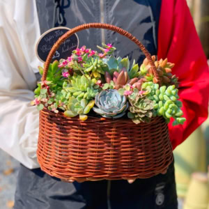 giỏ sen đá màu nâu