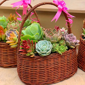 giỏ sen đá màu nâu