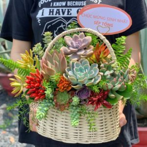 giỏ sen đá màu trắng