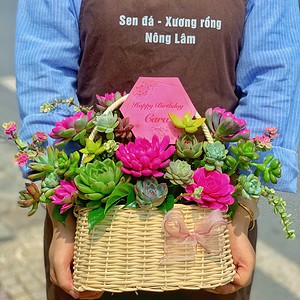 giỏ sen đá màu trắng