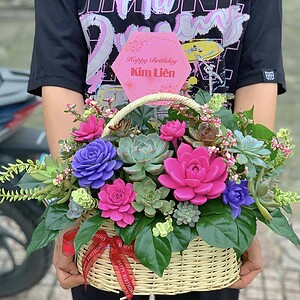 giỏ sen đá màu trắng