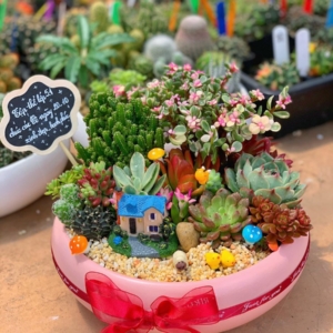 quà tặng 20/10 cho mẹ hoặc cô giáo