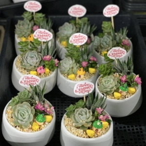 Quà tặng 20/10 nhỏ xinh