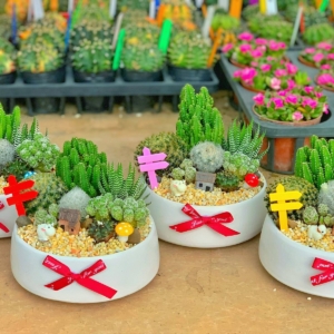 Quà tặng 20/11 cho cô giáo