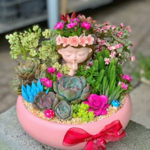 Quà tặng 20/11 cho cô giáo