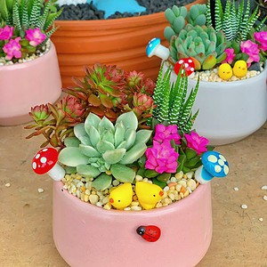 quà tặng 20/11 nhỏ xinh cho thầy cô giáo