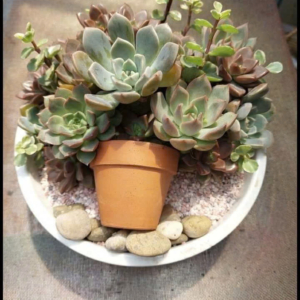 Quà tặng 20/11 ý nghĩa cho thầy giáo 01