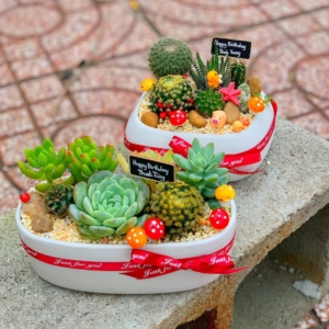 Quà tặng sinh nhật cho bạn nam nữ