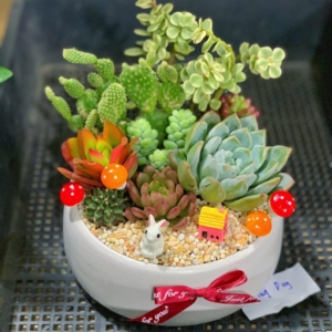 Quà tặng sinh nhật cho bạn bè