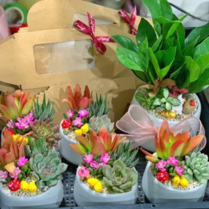 Quà tặng sinh nhật cho bạn bè