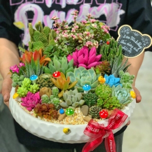 Quà tặng sinh nhật cho bạn thân