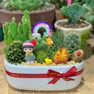 Quà tặng sinh nhật cho bé gái trai