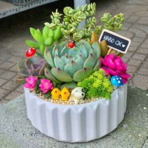 Quà tặng sinh nhật cho chồng