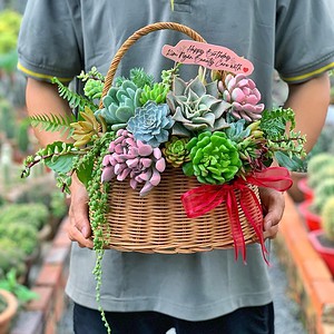 giỏ sen đá quà tặng sinh nhật cho nam nữ đặc biệt